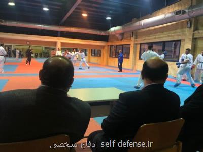 سلطانی فر: پورشیب در ورزش ایران الگوست