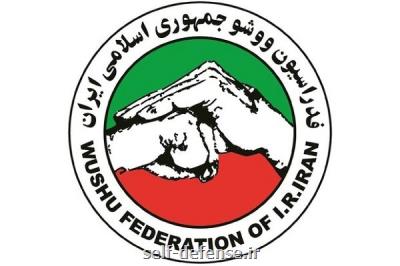 فرشاد عربی، سرمربی همه تیم های ملی ووشو