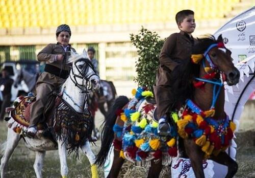 اعلام زمان برگزاری جشنواره بین المللی اسب کرد در کرمانشاه
