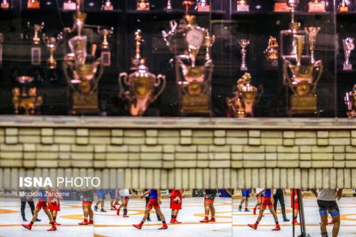 رقیب تیلور یزدانی، قاسم پور یا وفایی پور؟